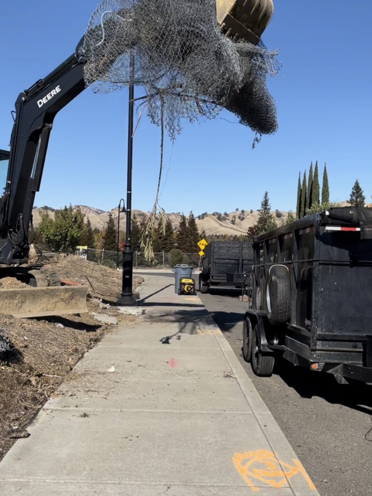 869F3714-FD45-4C4A-8A3C-65C2C5865439